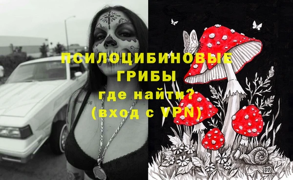 прущий лед Алексеевка