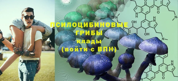 прущий лед Алексеевка