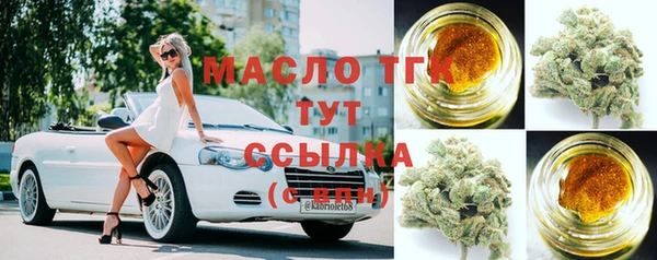 хмурый Михайловск